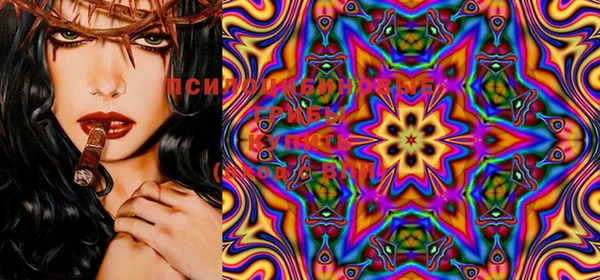 тгк Каменногорск